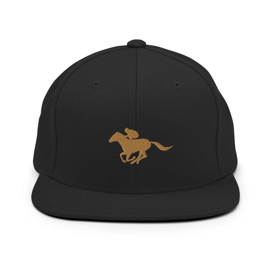 Down the Stretch Snapback Hat